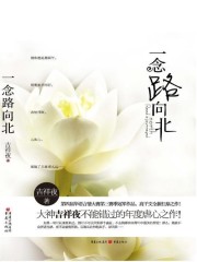 一念路向北（电视剧《一念向北》原著小说）